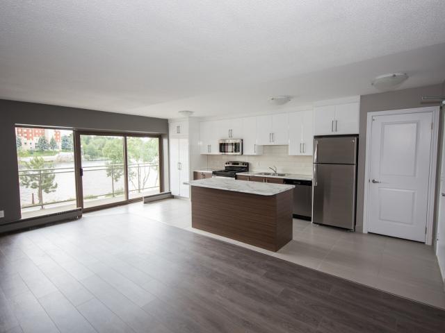 1720 Paris Street 1 Bedroom Deluxe Apartment for Rent