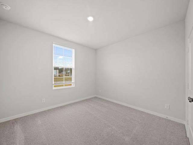 17210 White Peace Drive