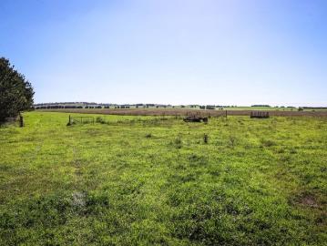 162 Acres of Proven Country