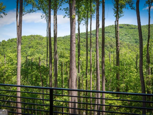 172 Grand Oaks Trail
