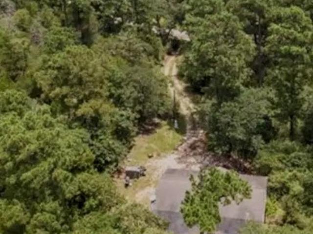 172 Pine Canyon Dr, Smithville, TX 78957 | MLS #2245