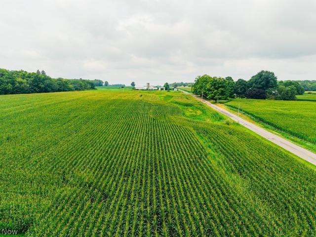 172 W County Line Road
