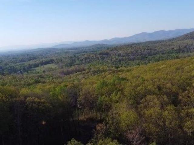 172 Trailwood Dr, Ellijay, GA 30536 | MLS #7713