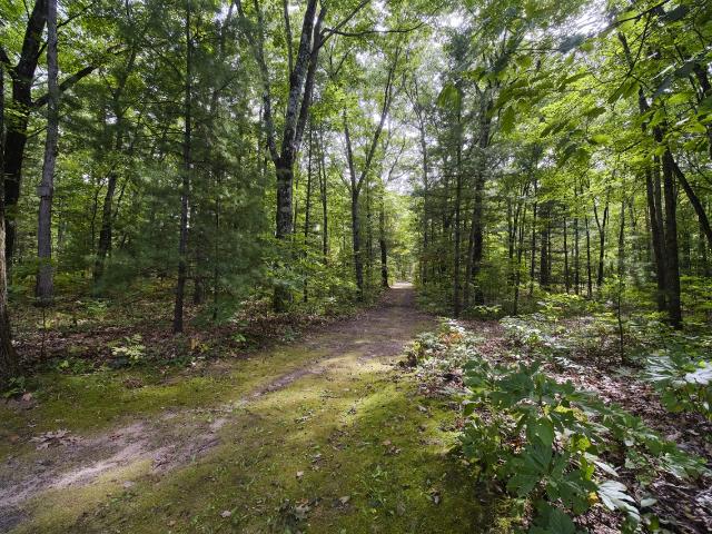 17349 Hoxeyville Road