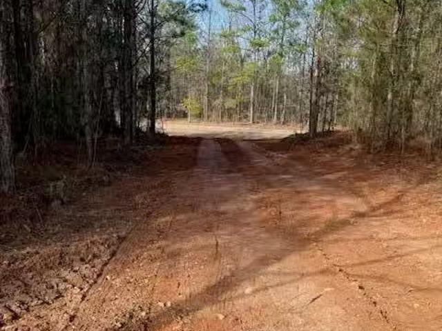 1737 PROSPECT RD, DADEVILLE, AL 36853