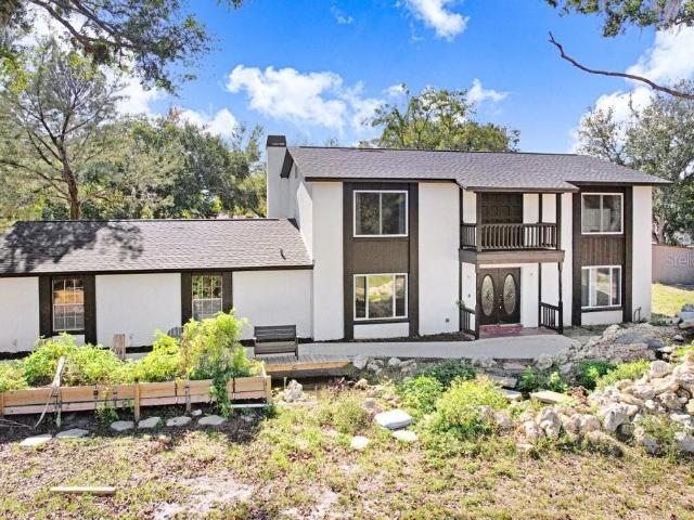 17308 tobacco road, lutz, us, fl