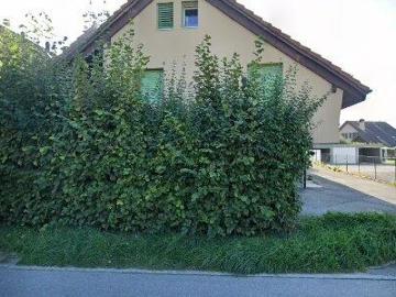 173 m2 apartment for rent in Jura Nord vaudois