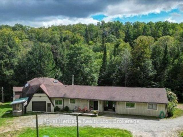 174 Bierworth Road, Faraday, ON, K0L 1C0 house for sale | Listing ID X13751 | Royal LePage