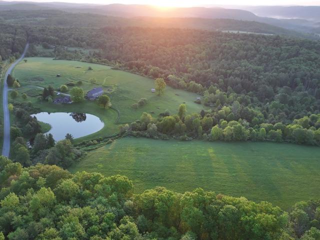 174 Fred Braun Road