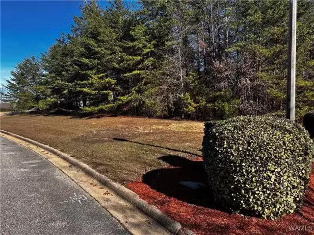 1755 LAKE HAVEN CIR, TUSCALOOSA, AL 35406