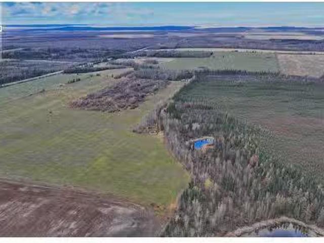 17537 Prespatou Road, Fort St. John, BC, V0C 1Y0 vacant land.