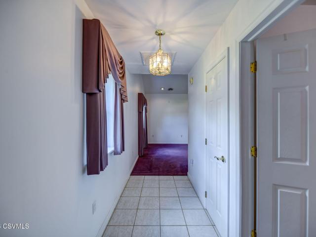 175 IVY Lane