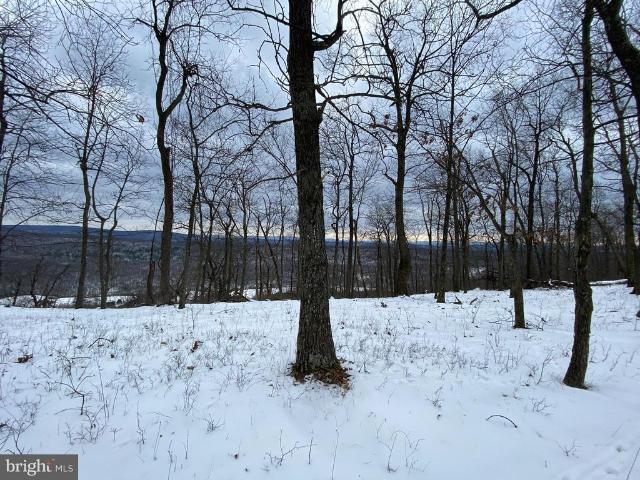 1790 Monroe Mountain Road