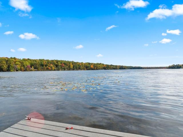 18028 munger lake lane