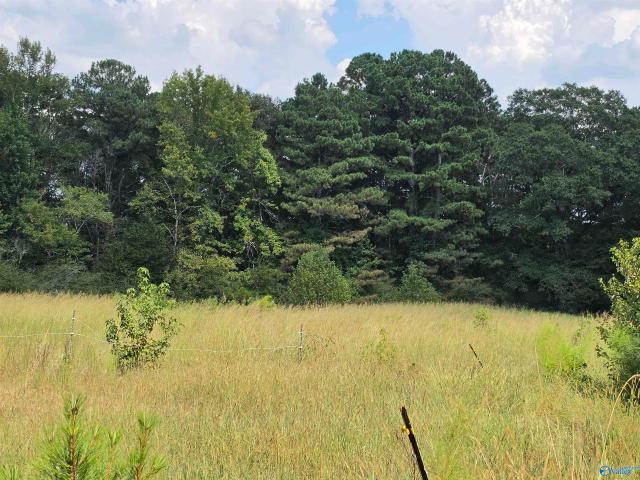 180 Mountainboro Road