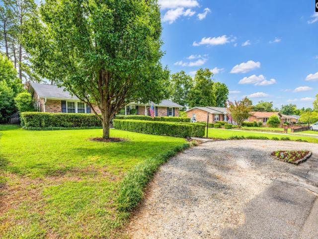 1817 Rosemary Drive