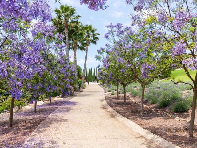 18245 Paseo Victoria