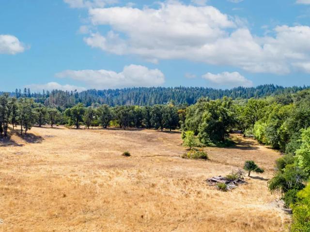18300 Walker Rd, Willits, CA 95490 | MLS #C1 10371