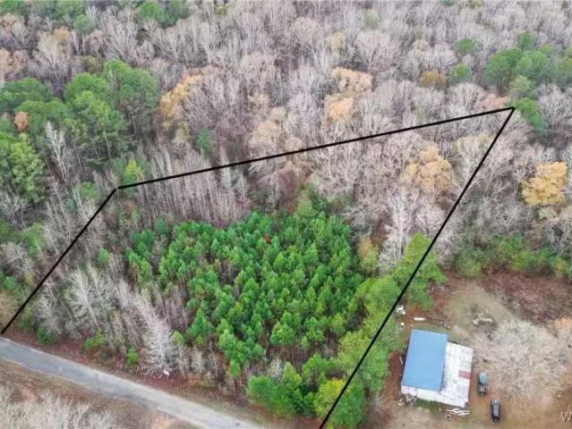 1830 PINE TREE RD, CENTREVILLE, AL 35042
