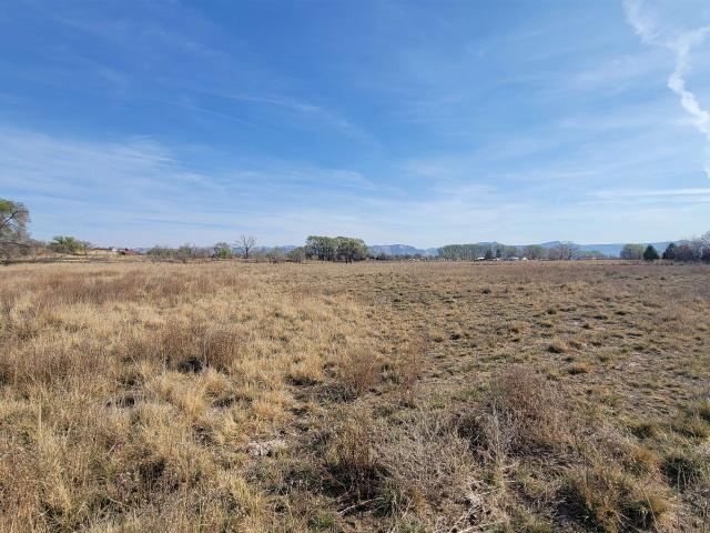 1844 M Rd, Fruita, CO 81521 | MLS #20261