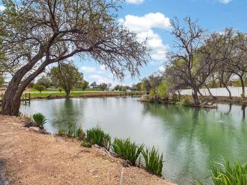 1850 Serengeti Rd