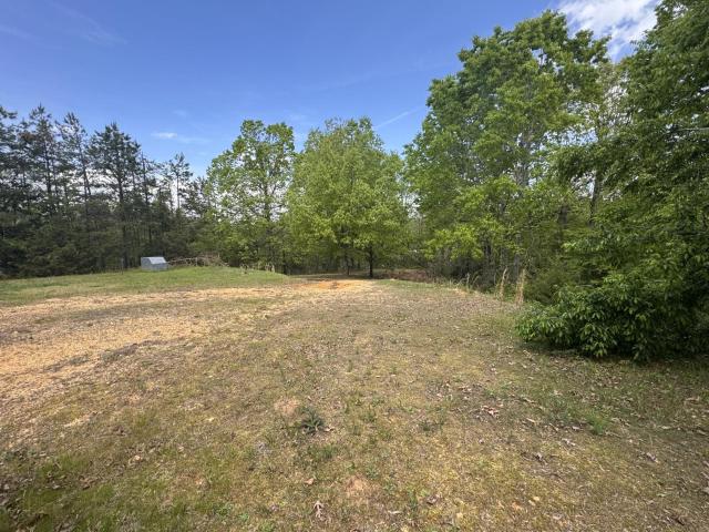 185 lucy loop
