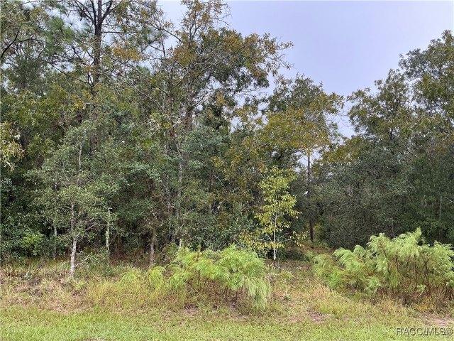 1860 E St James Loop, Inverness, FL 34453