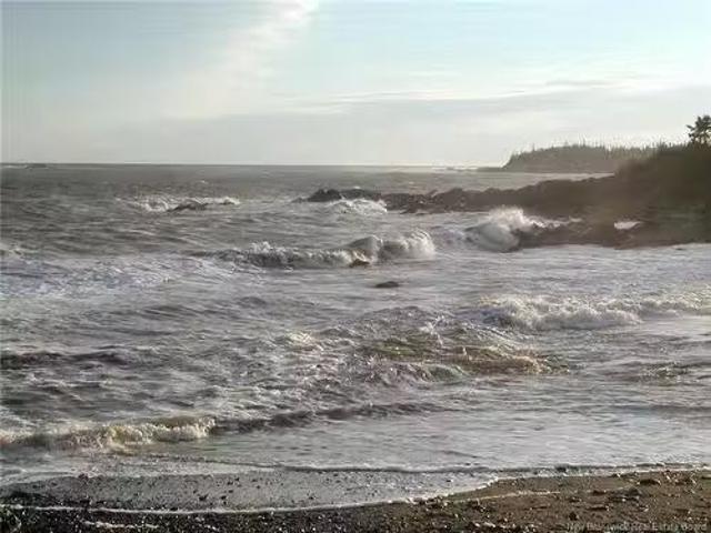 1888 Route 790, Dipper Harbour, NB, E5J 2R2 vacant land for.