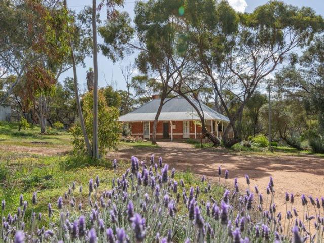 1895 Country Style Beauty on 11 Acres