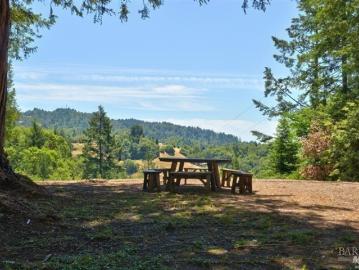 18900 Armstrong Woods Rd, Guerneville, CA 95446 | MLS #326024