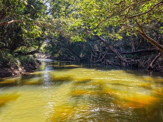 18.13 Hectares of Productive Land, Permanent Water & Endless Possibilities