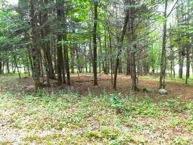 18 Ch. Dewar, Harrington, QC, J8G 2T3 vacant land for sale.