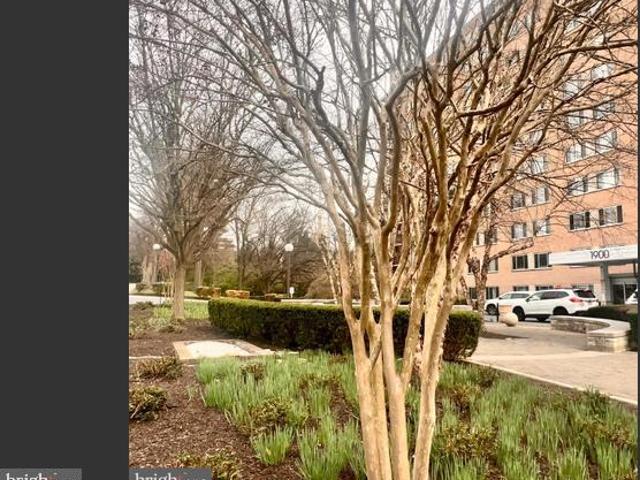 1900 Lyttonsville Road # 717