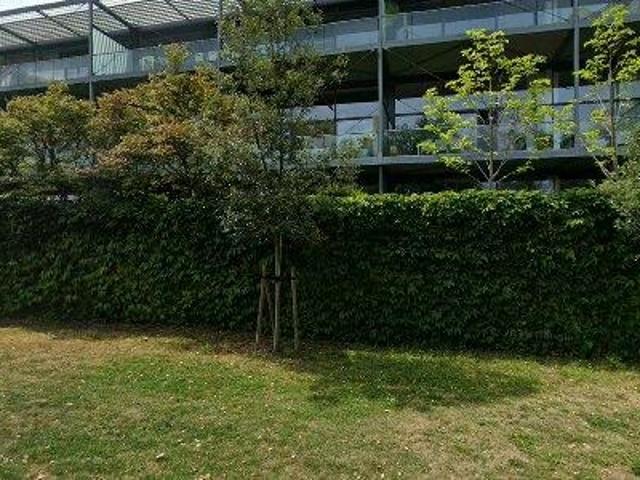 190 m2 apartment for rent in Hasselt