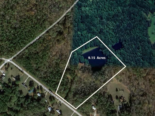 191 Tumlin Creek Rd, Roopville, GA 30170 | MLS #10568