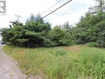 192 Conception Bay Highway, Holyrood, NL, A0A 2R0 vacant lan.