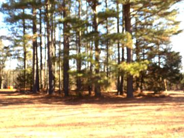 192 Clinton Mountain Rd