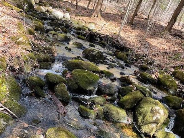 192 Fox Hill Road