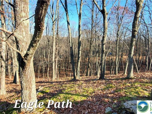 193 Eagle Path