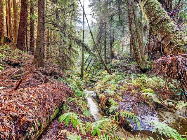 19400 Dorffi Rd, Fort Bragg, CA 95437 | MLS #C1 11221