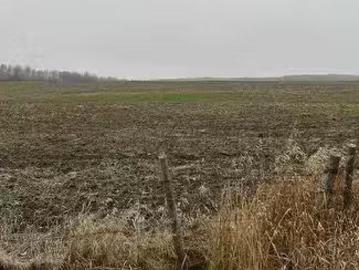 19408 Twp Rd 622, Rural Thorhild County, AB, T0A 2P0 vacant.