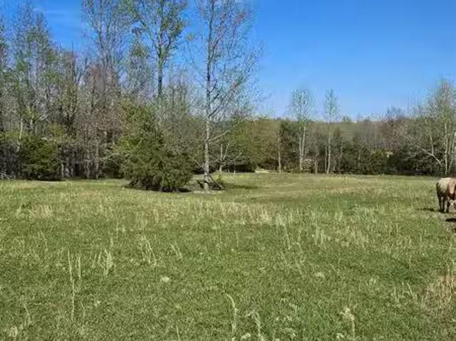 194 COUNTY ROAD 426, RECTOR, AR 72461