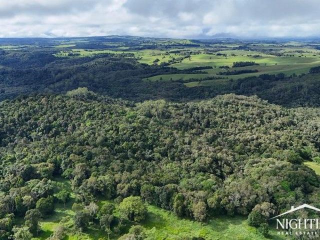 194 acres I Rainforest I Permanent Water
