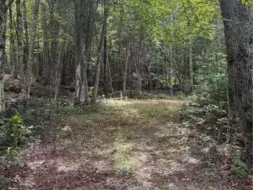 194 Upper Waweig Rd, Waweig, NB, E3L 4N1 vacant land for sal.