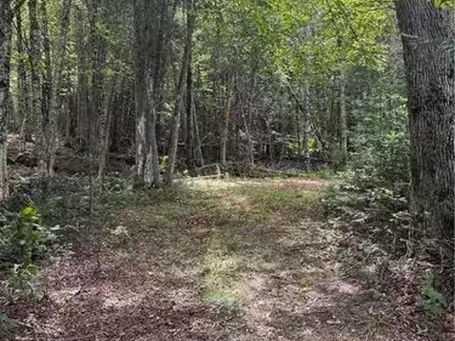 194 Upper Waweig Rd, Waweig, NB, E3L 4N1 vacant land for sal.
