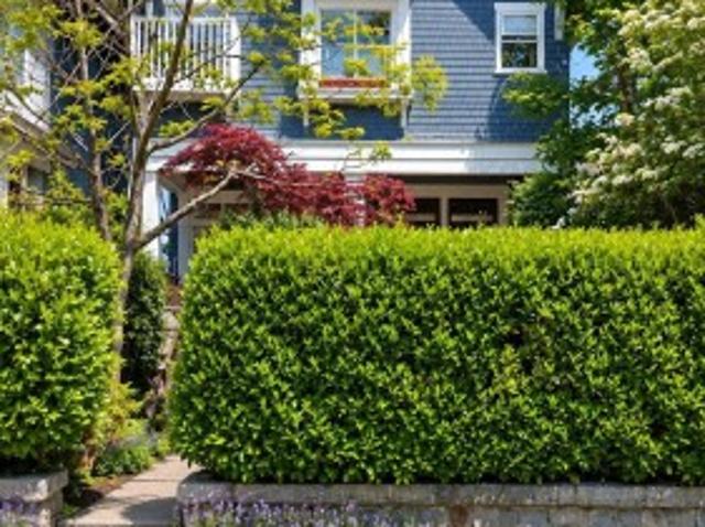 1951 Napier Street, Vancouver, BC, V5L 2N6 house for sale | Listing ID R3172 | Royal LePage