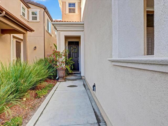 1951 Tangelo Way