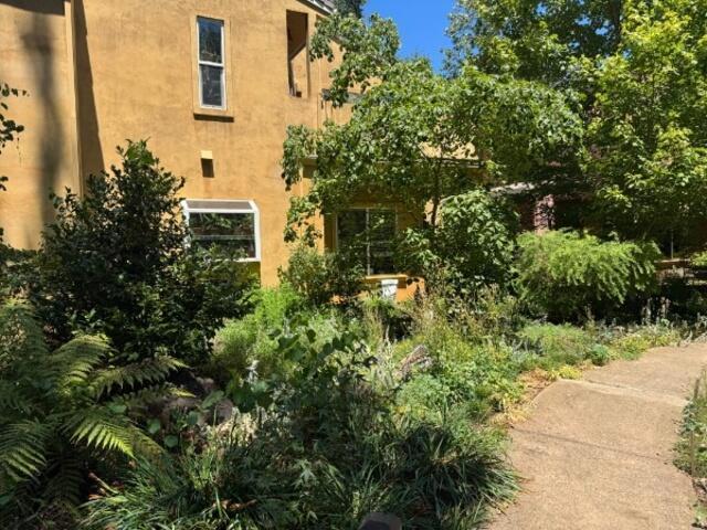 1953 Wild Oak Lane