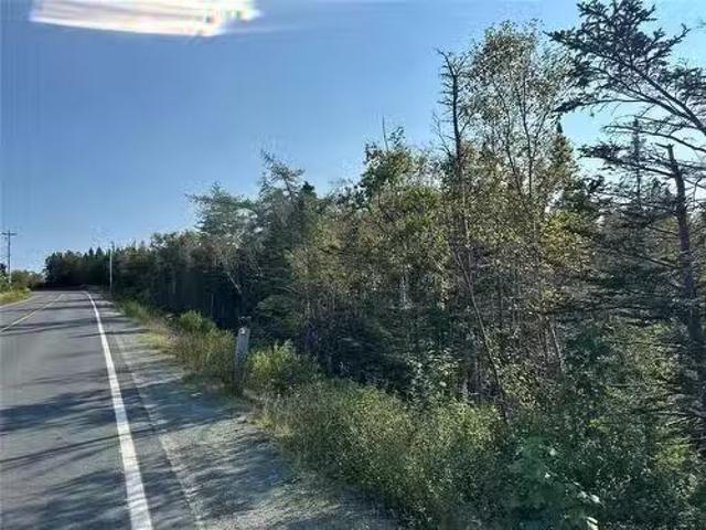 195 Conception Bay Highway, Georgetown, NL, A0A 2Z0 vacant l.