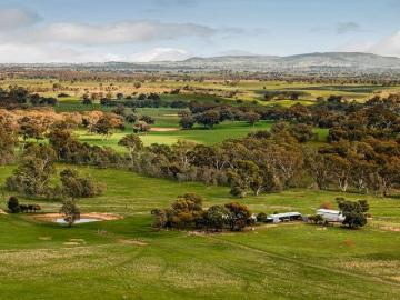 Saddle Up in Glenhope 195 Acres of Freedom